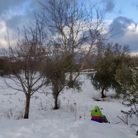 Dom wakacyjny Mount Etna Maletto