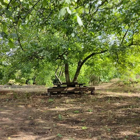 Mount Etna * Maletto