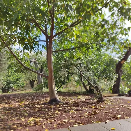 Dom wakacyjny Mount Etna